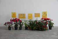 Painting among the flowers - Pittura da mettere tra i fiori